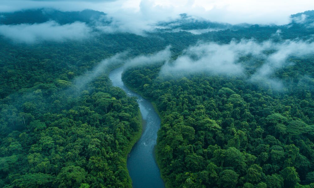 O que são rios voadores da Amazônia